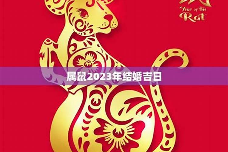 属鼠的2023年结婚的好日子