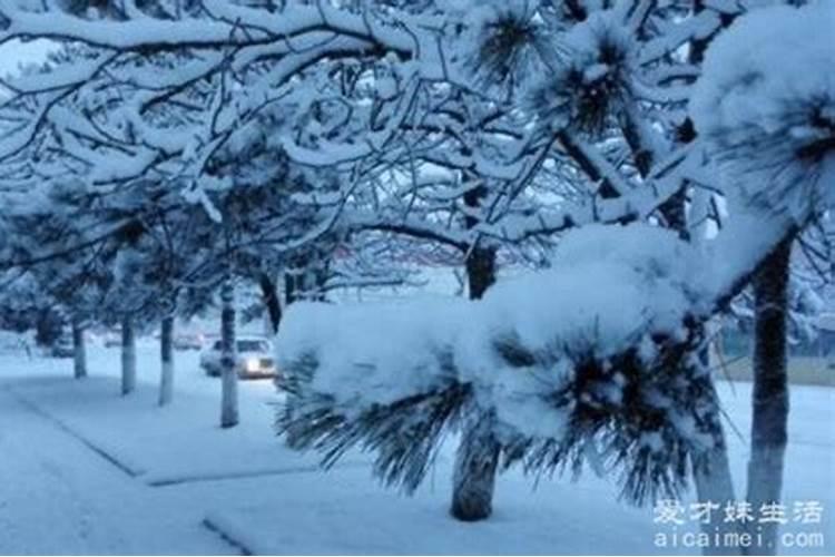 梦到9月份下雪