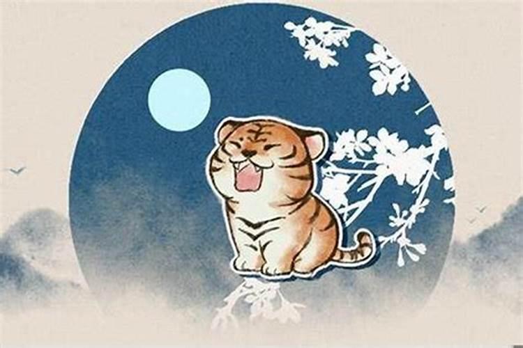 梦见和猪对话交流和生气