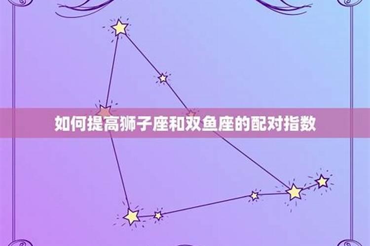 双鱼配狮子座怎么样