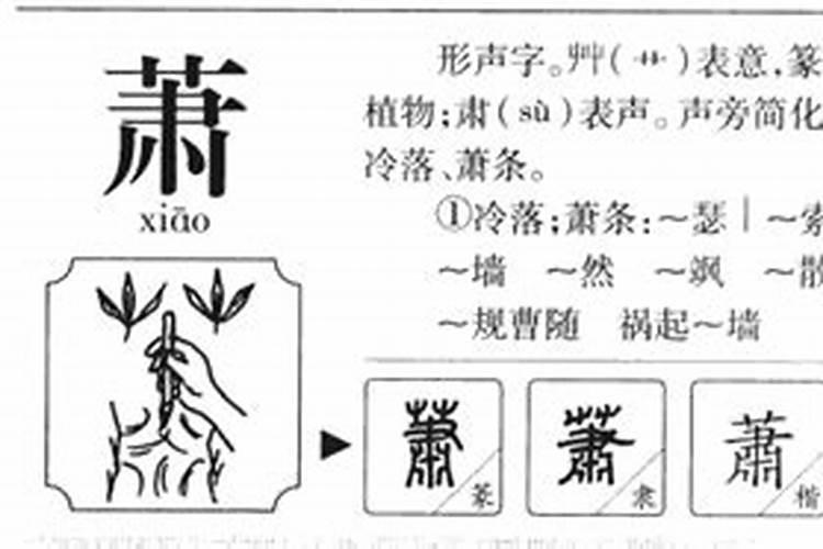 萧字五行属什么