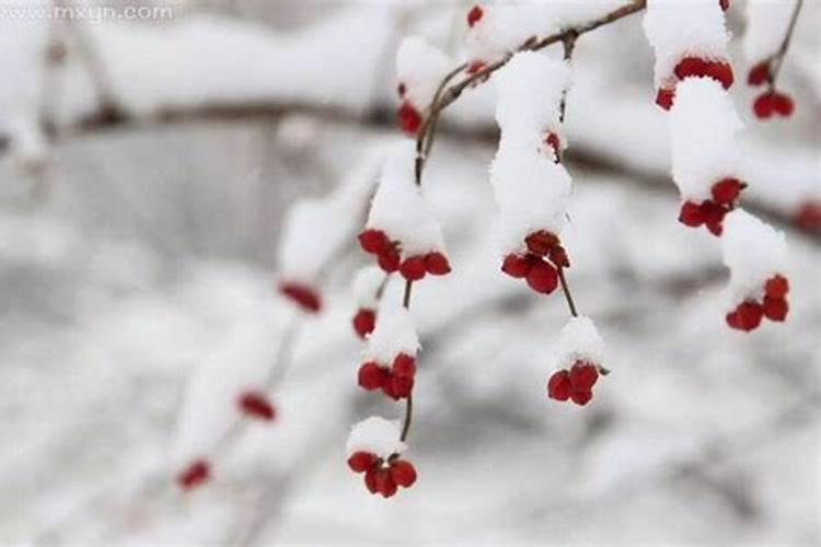 7月梦见下大雪是什么征兆呢