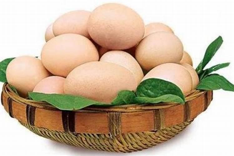 鸡蛋代表什么生肖