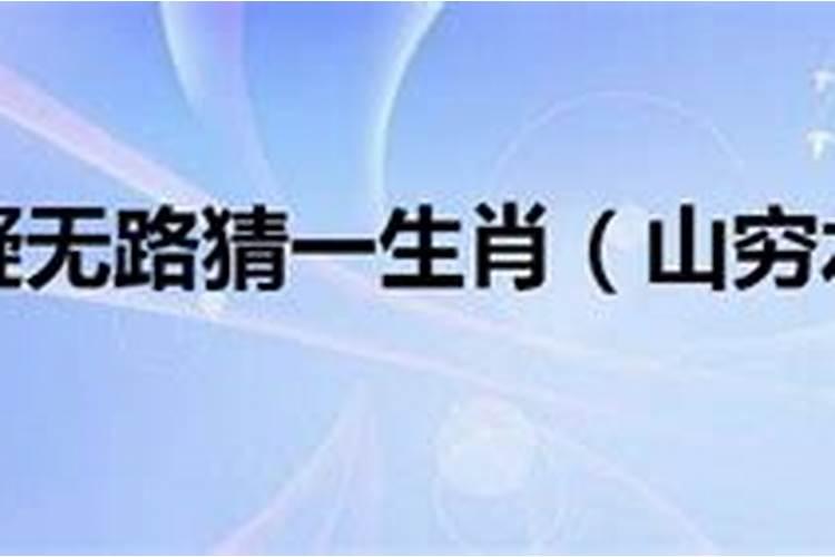 2019年属猪五行属什么