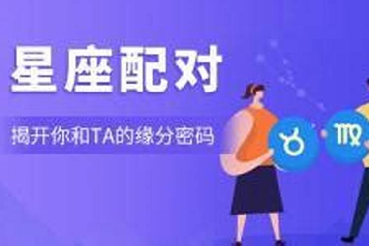 双子座和处女座性格合不合