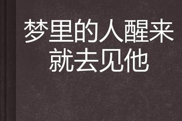 梦里梦见的人醒来应该去找他原句