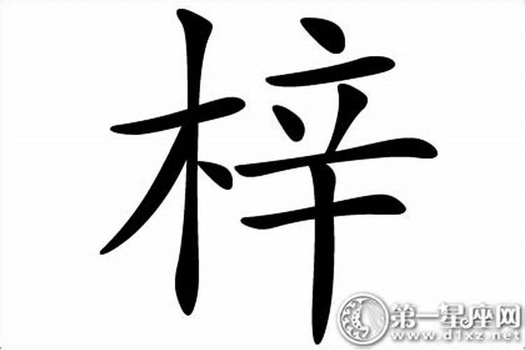 梓这个字五行属什么属性的字