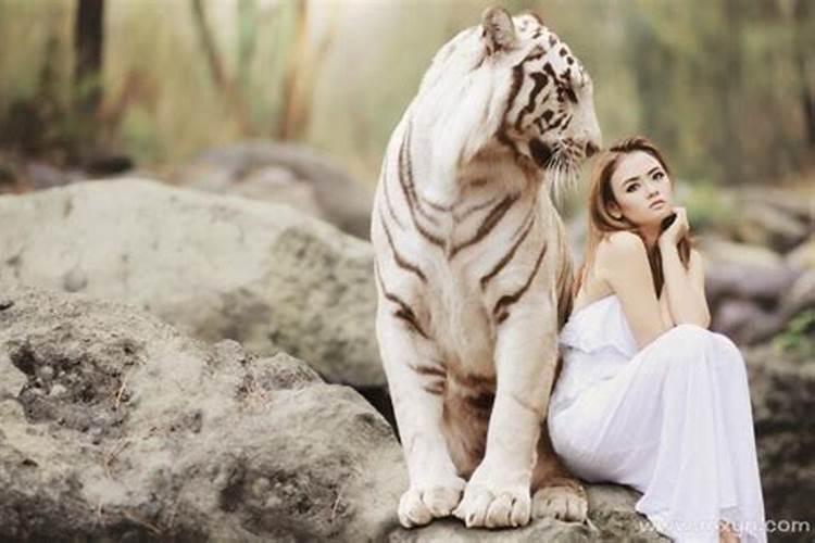 女人梦到老虎追自己是什么意思