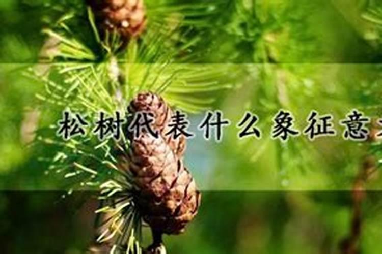 横财偏财运什么意思呀