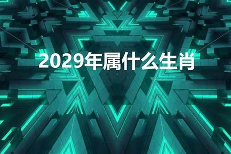 2028年属什么生肖