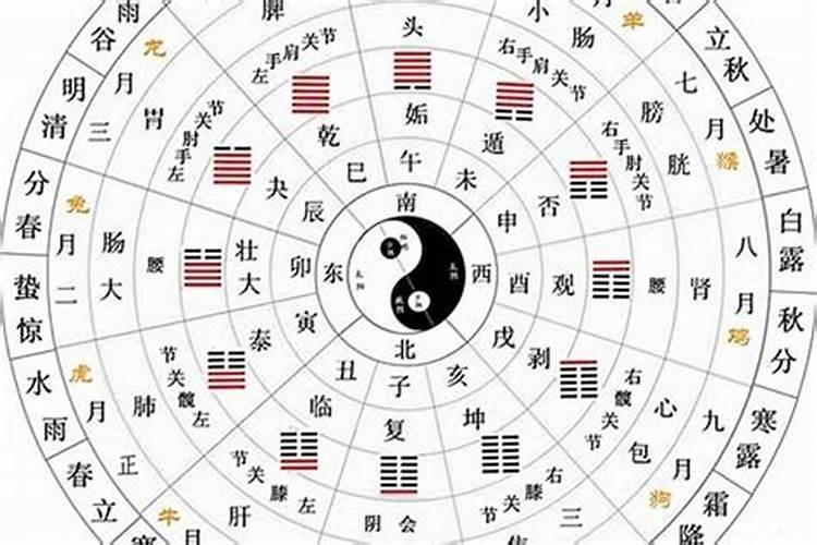 特字五行属什么