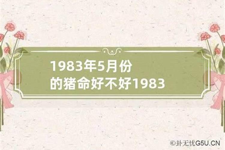 1983年属什么命