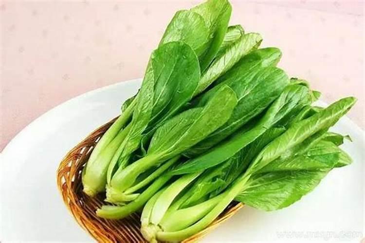 梦见青菜什么意思