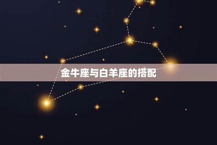 金牛座和哪个星座配