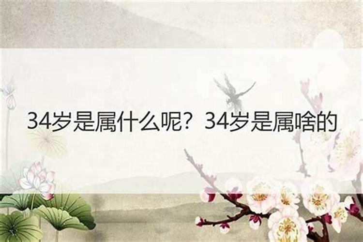 34属什么的