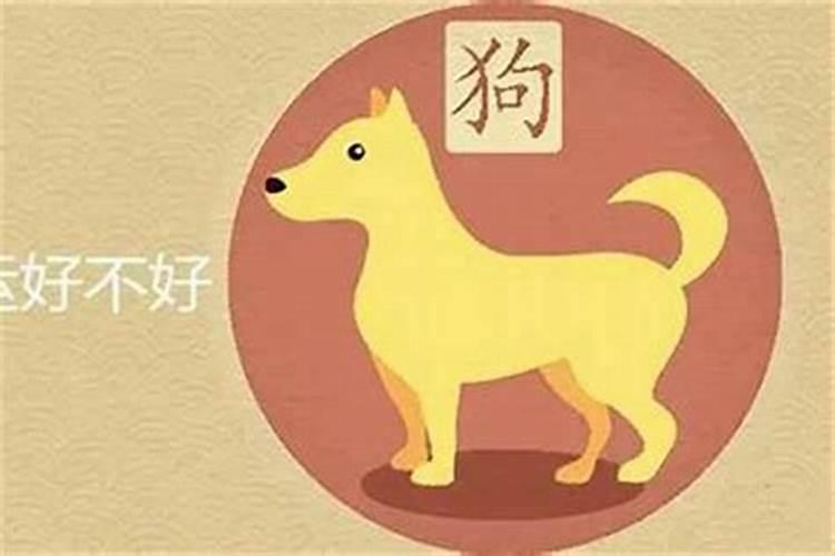 子年是哪一年属什么生肖