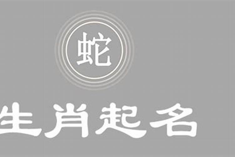 属蛇的男孩取什么名字好