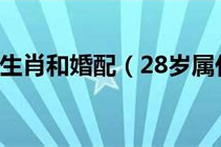 29属什么的28岁属啥的