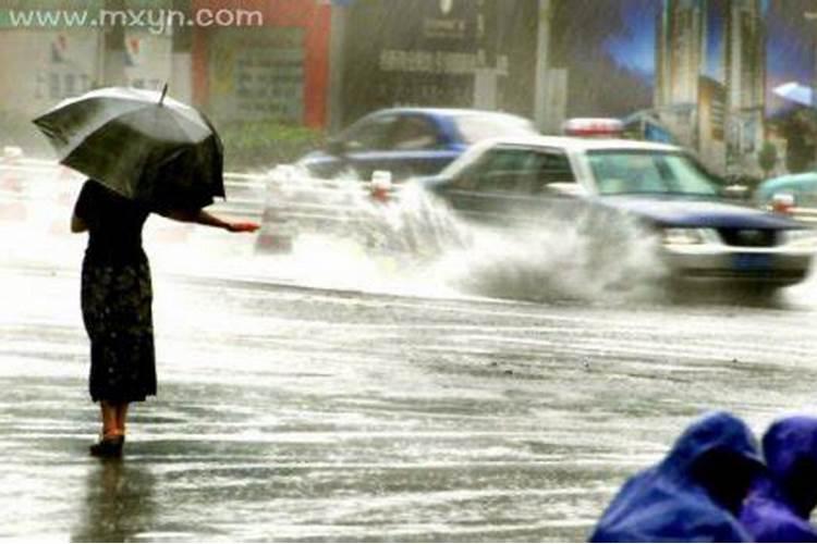 梦见大雨暴雨什么预兆