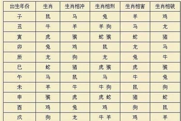 父子属相相冲关系大吗