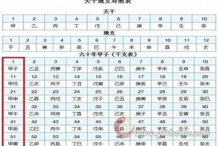 音字五行属什么的意思