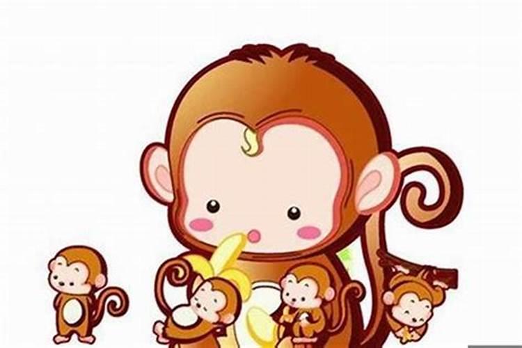 2016属猴是什么命