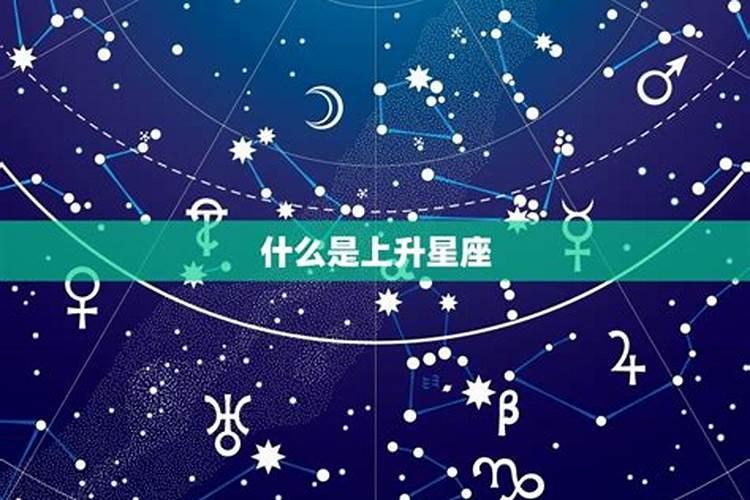 金星上升月亮星座