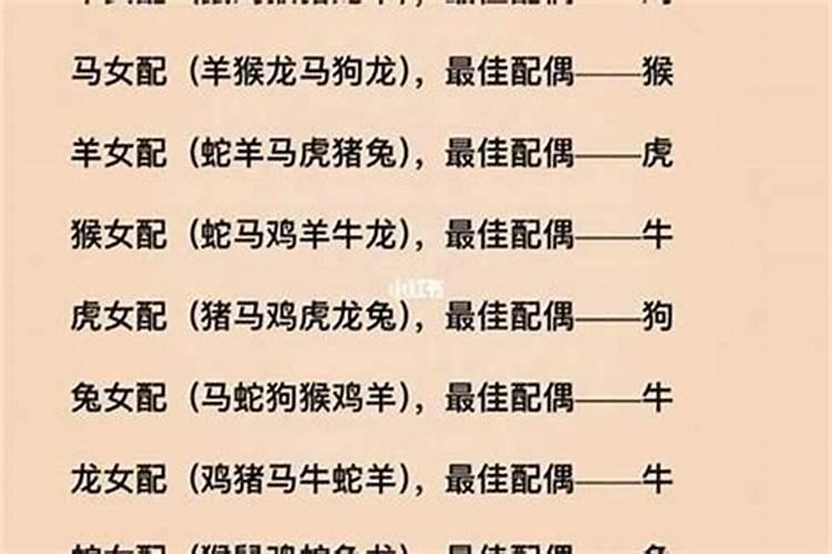 属鼠和属什么不合适