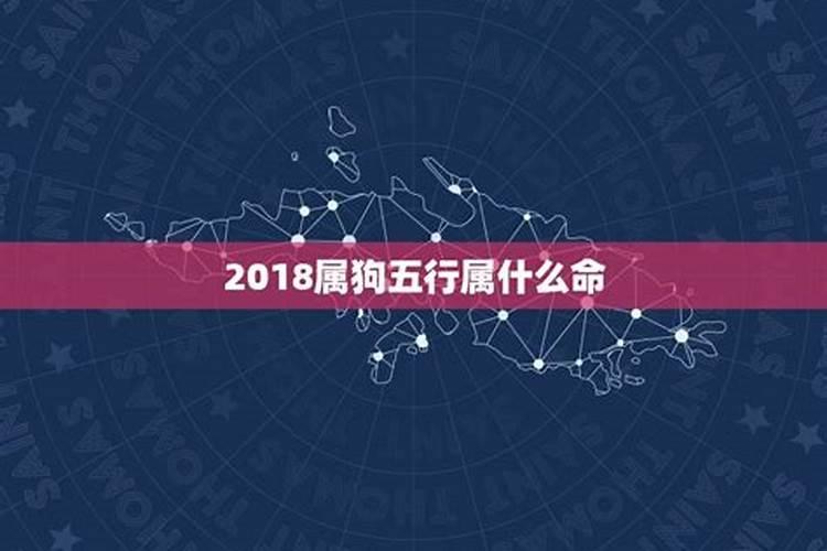 2018出生属狗什么命