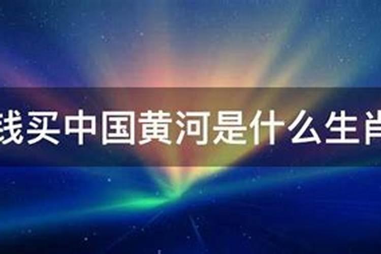 黄河代表什么生肖