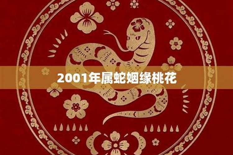 2001年出生的属什么生肖