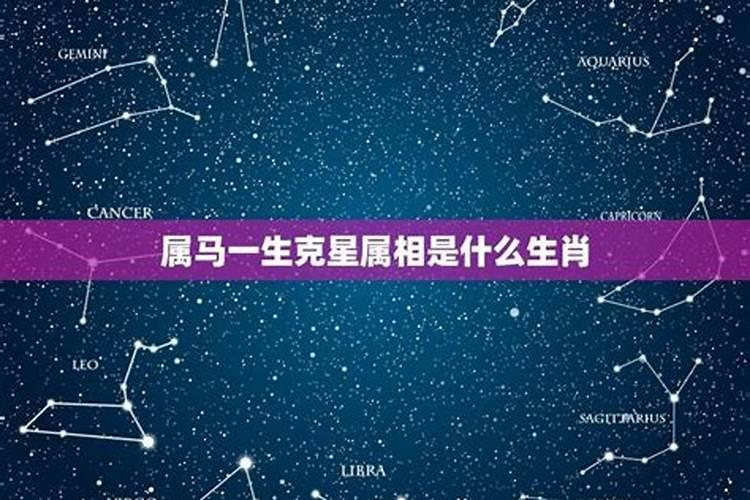 属马的克星是什么属相