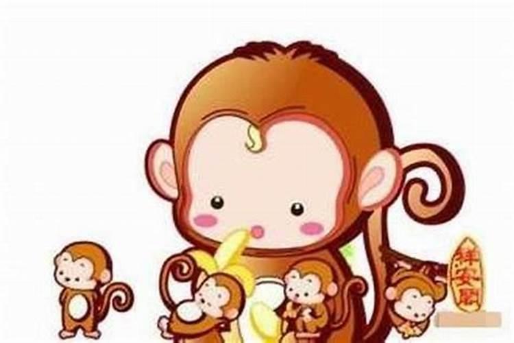 2016猴宝宝是属什么命