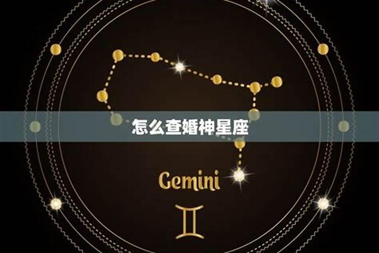 什么是对宫星座