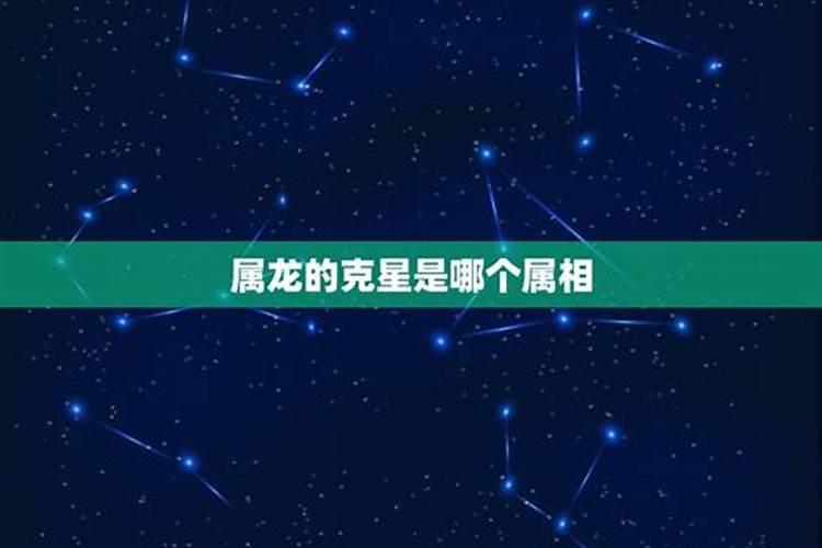 属马的克星是什么属相马