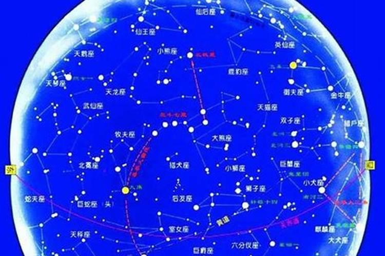 阳历11月1日是什么星座