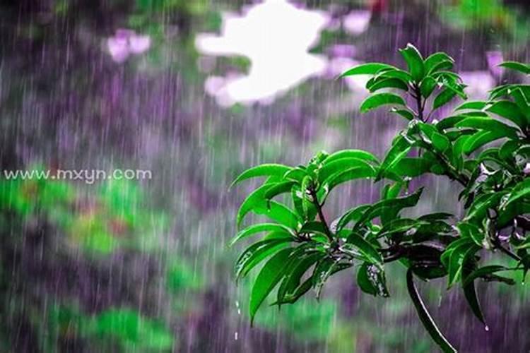 做梦梦见暴雨