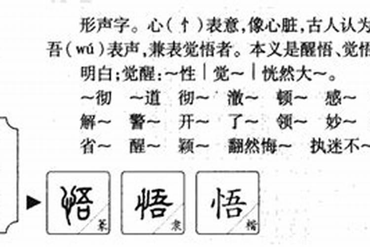 悟字五行属什么