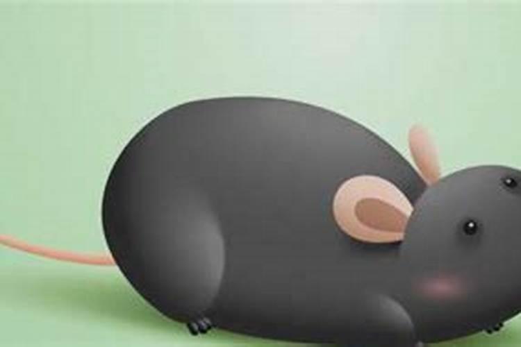 梦见老鼠是胎梦吗