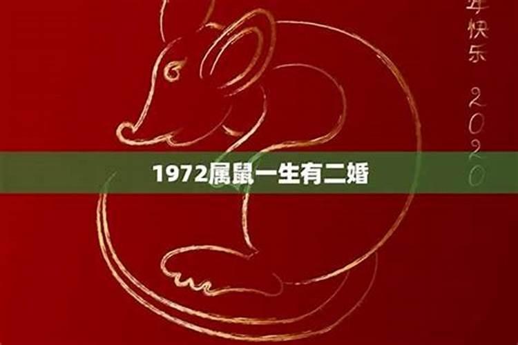 84年属鼠38岁以后命运怎么样