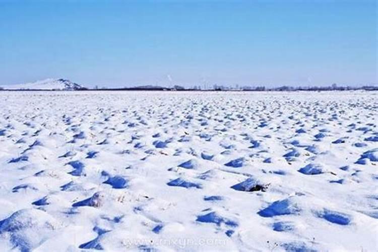 已婚女人梦见大雪纷飞拍照