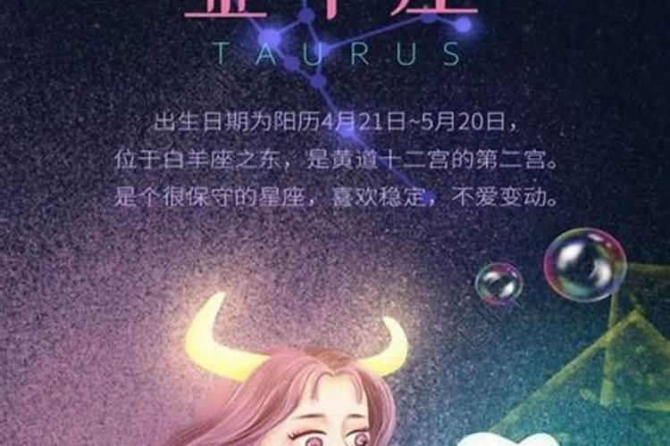 白羊男怎么样追金牛女