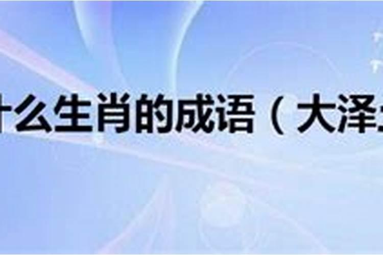 今年虚岁21岁属什么