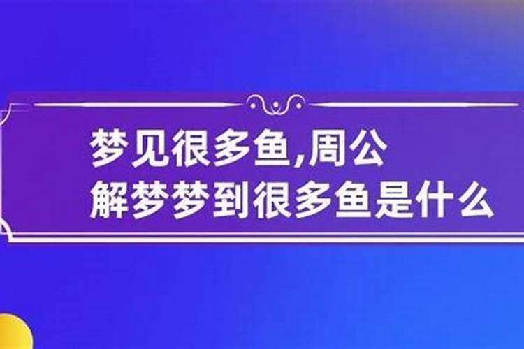 梦见好多鱼是什么意思？梦见很多鱼代表什么数字