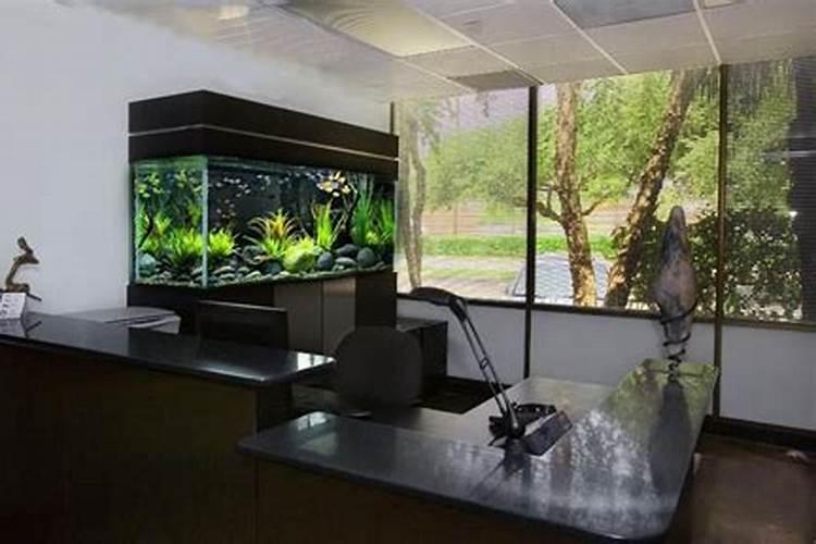 办公室鱼缸的摆放位置风水 办公室鱼缸放什么位置好