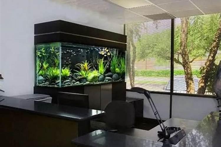办公室鱼缸的摆放位置风水 办公室鱼缸放什么位置好
