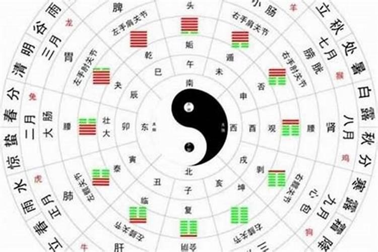 怎么样看懂八字？八字怎样查日支