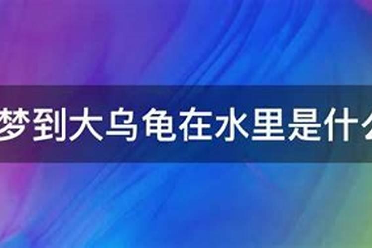 梦见大乌龟在水里是什么意思？梦到特别大的乌龟是什么意思