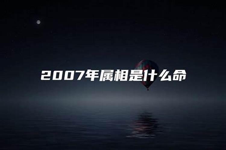 2007年是属什么