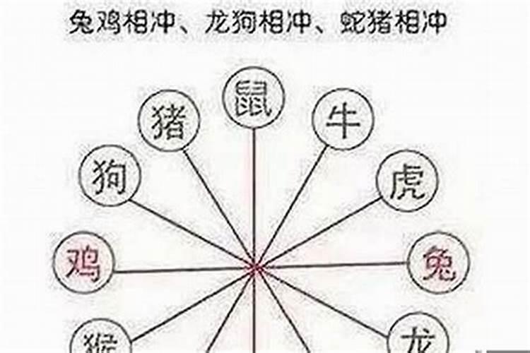 属狗相冲的属相是什么生肖